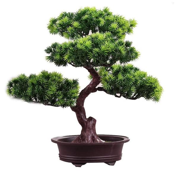 giant fiddle leaf fig Fiddle Leaf Fig Potted Houseplant main image 0