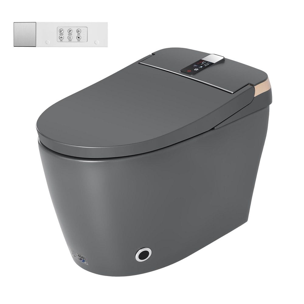 Elongated Bidet Toilet 1.28 GPF in Gray with Heated Seat Auto Open/Close Multi-Cleaning Modes Warm Dryer Night Light price history on PriceWatchPro