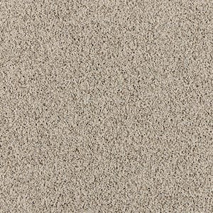 Radiant Retreat I Silver lining Gray 47 oz. Polyester Textured Installed Carpet