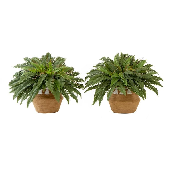 Nearly Natural 23 in. Artificial Green Boston Fern Plant with Handmade Jute  and Cotton Basket with Tassels DIY KIT (Set of 2) T4485-S2 - The Home Depot