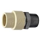 1/2 in. x 1/2 in. CPVC CTS Slip Stainless Steel MPT Adapter