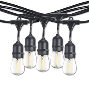 Outdoor/Indoor 14 ft. Plug-in S14 LED Black String Light with Clear Shatter Resistant Bulbs Included 10 Sockets (2-Pack)