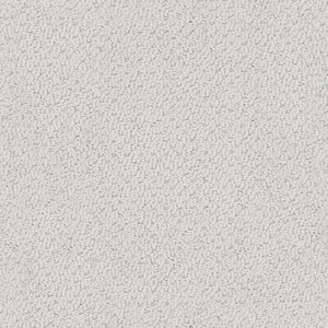 Dublin - Silver Strand - Gray 39.3 oz. Nylon Loop Installed Carpet