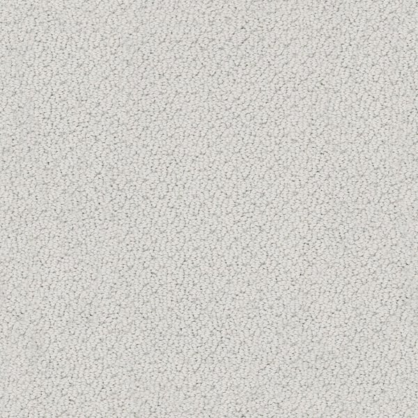 Lifeproof Dublin - Silver Strand - Gray 39.3 oz. Nylon Loop Installed Carpet
