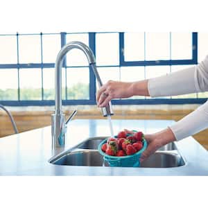 Genta LX Single-Handle Pull-Down Sprayer Kitchen Faucet with Reflex in Chrome