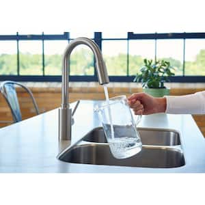 Genta LX Single-Handle Pull-Down Sprayer Kitchen Faucet with Reflex in Spot Resist Stainless