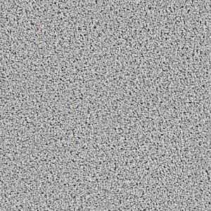 Happy Chance  - Upbeat - Gray 30 oz. SD Polyester Texture Installed Carpet