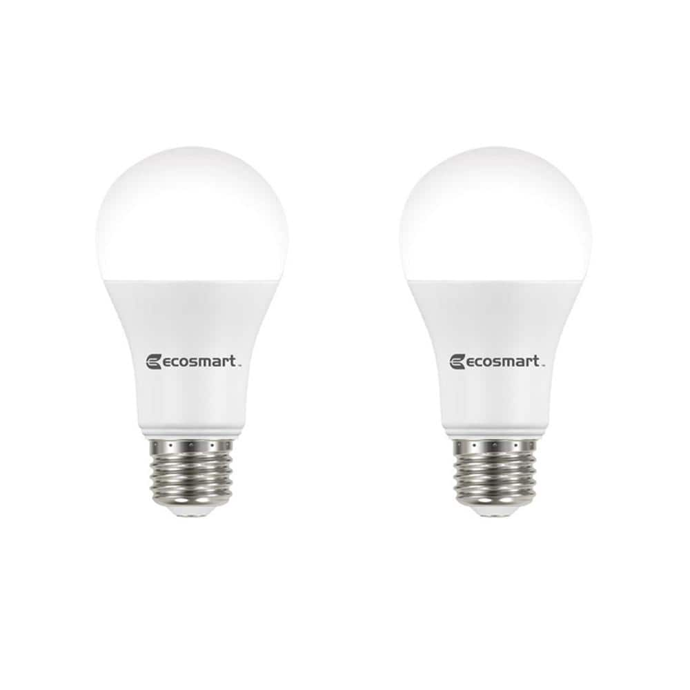 ecosmart 100w led daylight