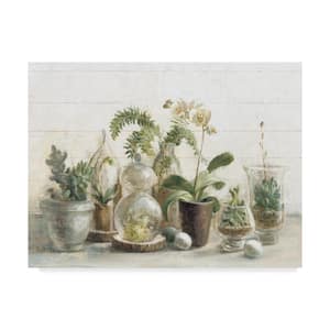 24 in. x 32 in. "Greenhouse Orchids on Shiplap" by Danhui Nai Printed Canvas Wall Art