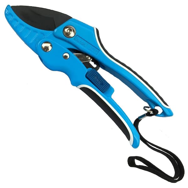 新品 hannes roether ハネスルーザー カットオフ アシンメトリー Hoof Rot Shears | Agri-Pro Enterprises of Iowa