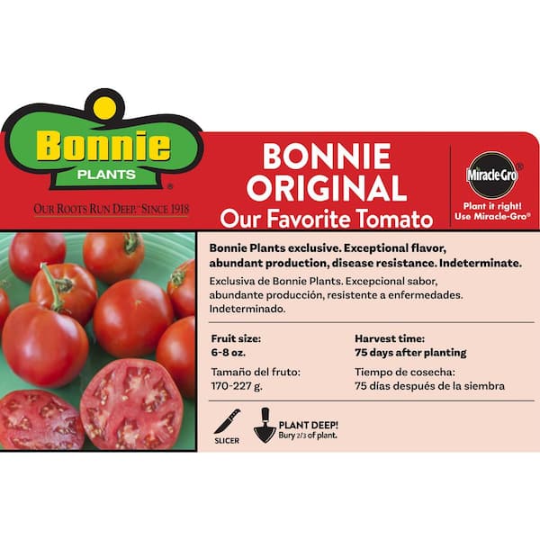 1.19 qt. Bonnie Original Tomato Plant (6-Pack)