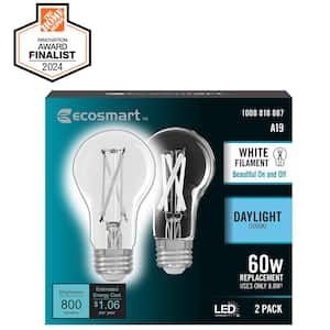 60-Watt Equivalent A19 Dimmable White Filament CEC Clear Glass E26 Medium Base LED Light Bulb, Daylight 5000K (2-Pack)