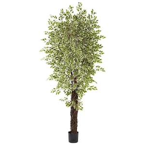 7.5 ft. Artificial Variegated Mini Ficus