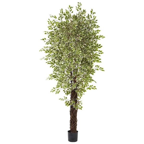 Nearly Natural 7.5 ft. Artificial Variegated Mini Ficus