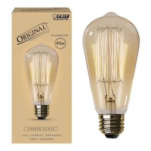 40-Watt ST19 Dimmable Cage Filament Amber Glass E26 Vintage Edison Incandescent Light Bulb, Warm White