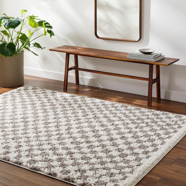 Birmingham Gray 5 ft. x 7 ft. Checkered Indoor Area Rug