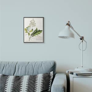 11 in. x 14 in. "Botanical Plant Illustration Leaves Vintage Design" by Unknown Framed Wall Art