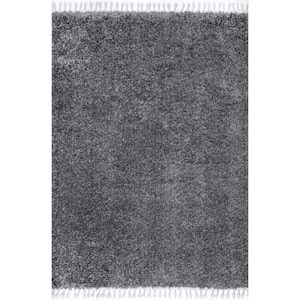 Dorisa Dark Gray Doormat 3 ft. x 5 ft. Indoor Area Rug
