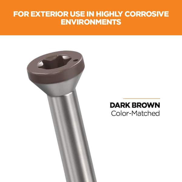 2-1/2 in. #8 316 Stainless Steel Dark Brown Premium Star Drive Trim Screws (100-Count)