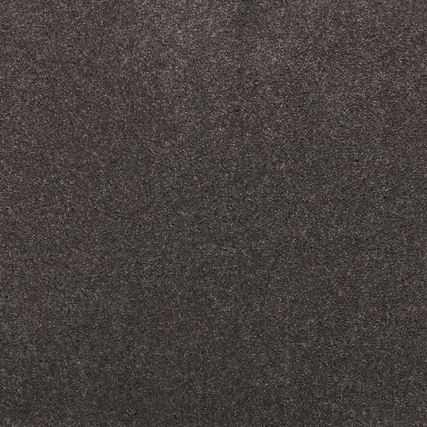 Plush Dreams II - Dream- Gray 12 ft. 53 oz. Triexta Texture Installed Carpet