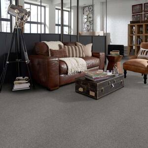 Willow - Color Grey 12 ft. Texture Carpet