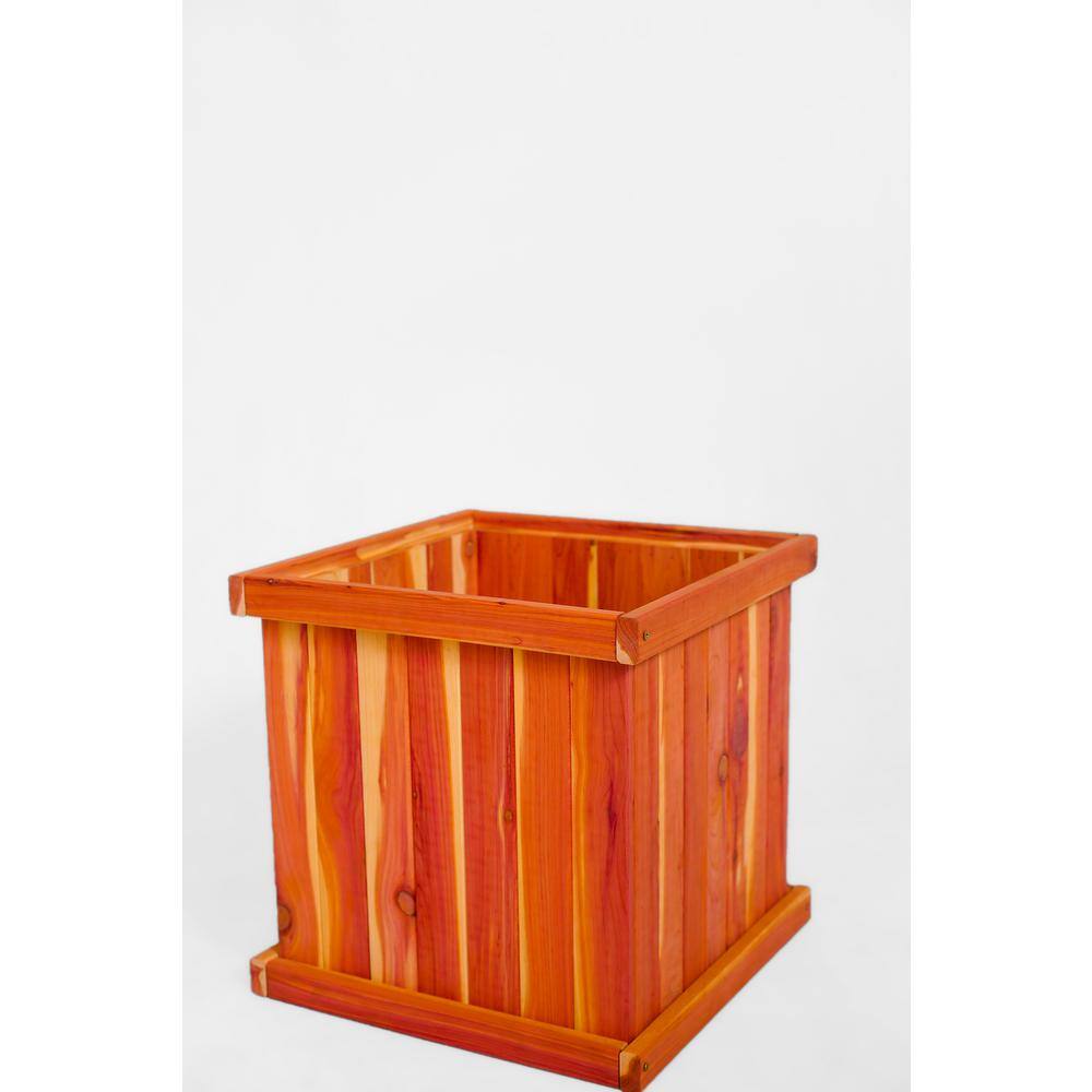 CEDAR GREEN 16 in. x 16 in. x 16 in. Aromatic Cedar Planter Box G16