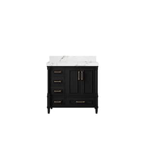 Hudson 36 in. W. x 22 in. D x 36 in. H Single Right Offset Sink Bath Vanity in Black with 2 in. Viola Brown Qt. Top