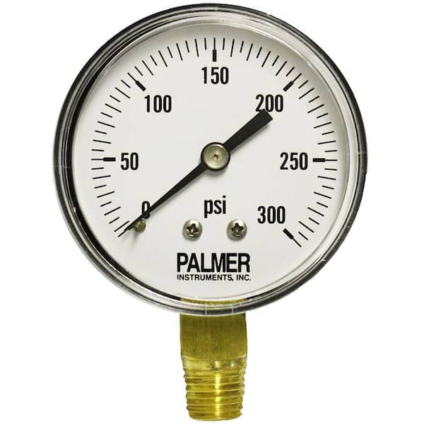 Palmer Instruments 2.5 in. Dial 300 psi Painted Steel Case Utility Gauge