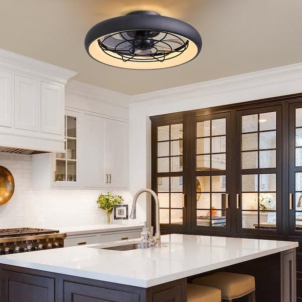 20 in. LED Indoor Black Low Profile Reversible Flush Mount Caged Ceiling Fan with Dimmable Light and Smart App Remote