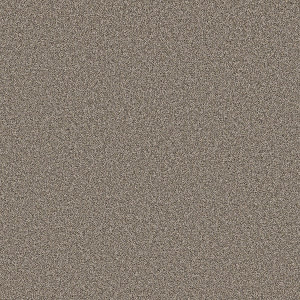 Home Decorators Collection Piece Of Cake Pebble Beige 33 oz. Solution Dyed Polyester Texture Installed Carpet