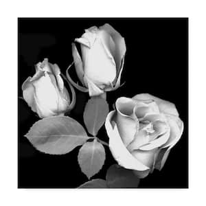 Susan S. Barmon 'Three Roses Black And White' Canvas Unframed Photography Wall Art 14 in. x 14 in