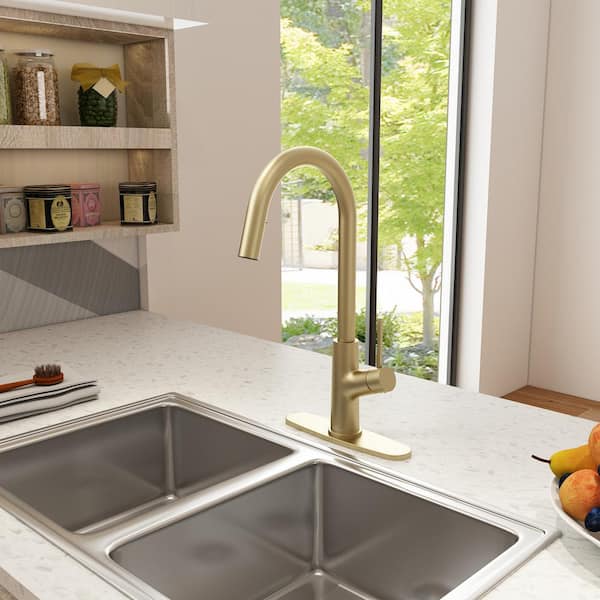 2-Spray Patterns Single Handle Pull Down Sprayer Kitchen Faucet with Deckplate and Water Supply Hoses in Brushed Gold