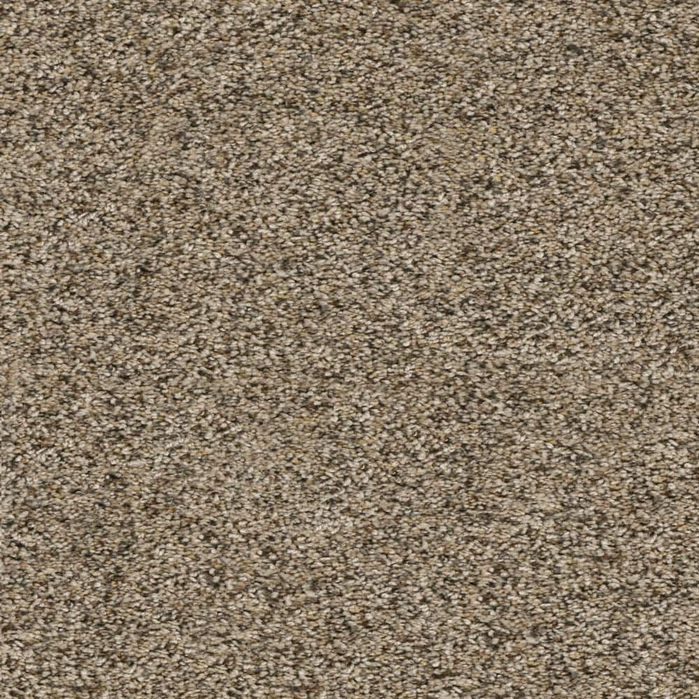 8 in. x  8 in. Texture Carpet Sample - Whispers -Color Mystery price history on PriceWatchPro