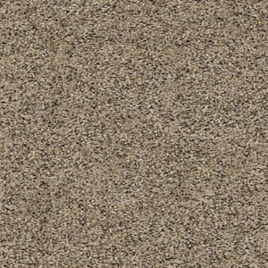 Whispers  - Mystery - Beige 38 oz. SD Polyester Texture Installed Carpet