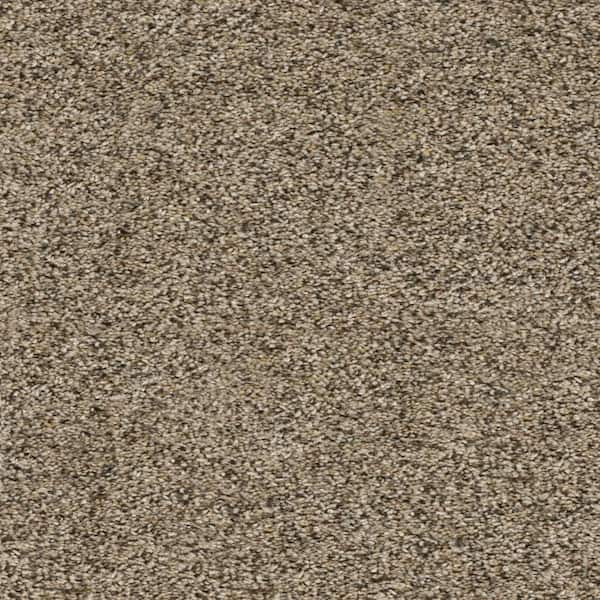 Home Decorators Collection Whispers  - Mystery - Beige 38 oz. SD Polyester Texture Installed Carpet