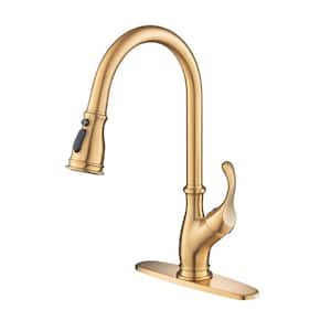 Single Handle Pull Down Sprayer Kitchen Faucet with Brush Included and Handles in Brushed Gold