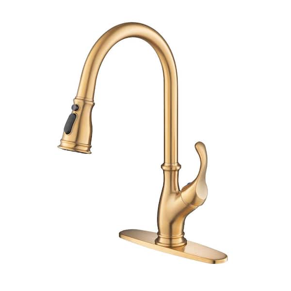 FLG Single Handle Pull Down Sprayer Kitchen Faucet with Brush Included and Handles in Brushed Gold