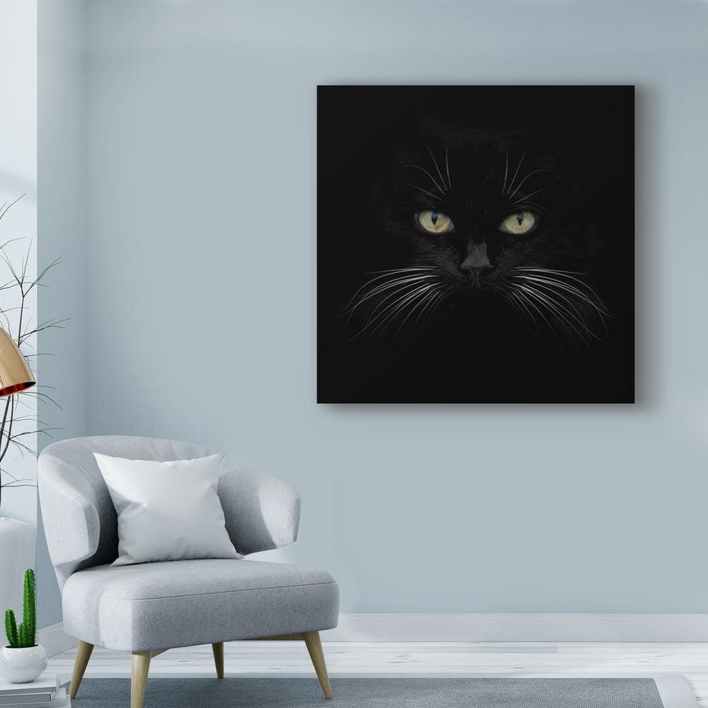 Black Cat Centered Framed Canvas Print 35" x 35"