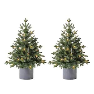 3 ft LED Pre-Lit Potted Artificial Christmas Tree with 35 Warm White Mini Lights (2 Pack)