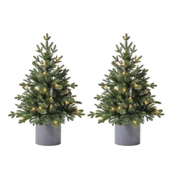 Home Accents Holiday 3 ft LED Pre-Lit Potted Artificial Christmas Tree with 35 Warm White Mini Lights (2 Pack)