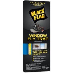 Window Fly Adhesive Insect Trap (4-Count)