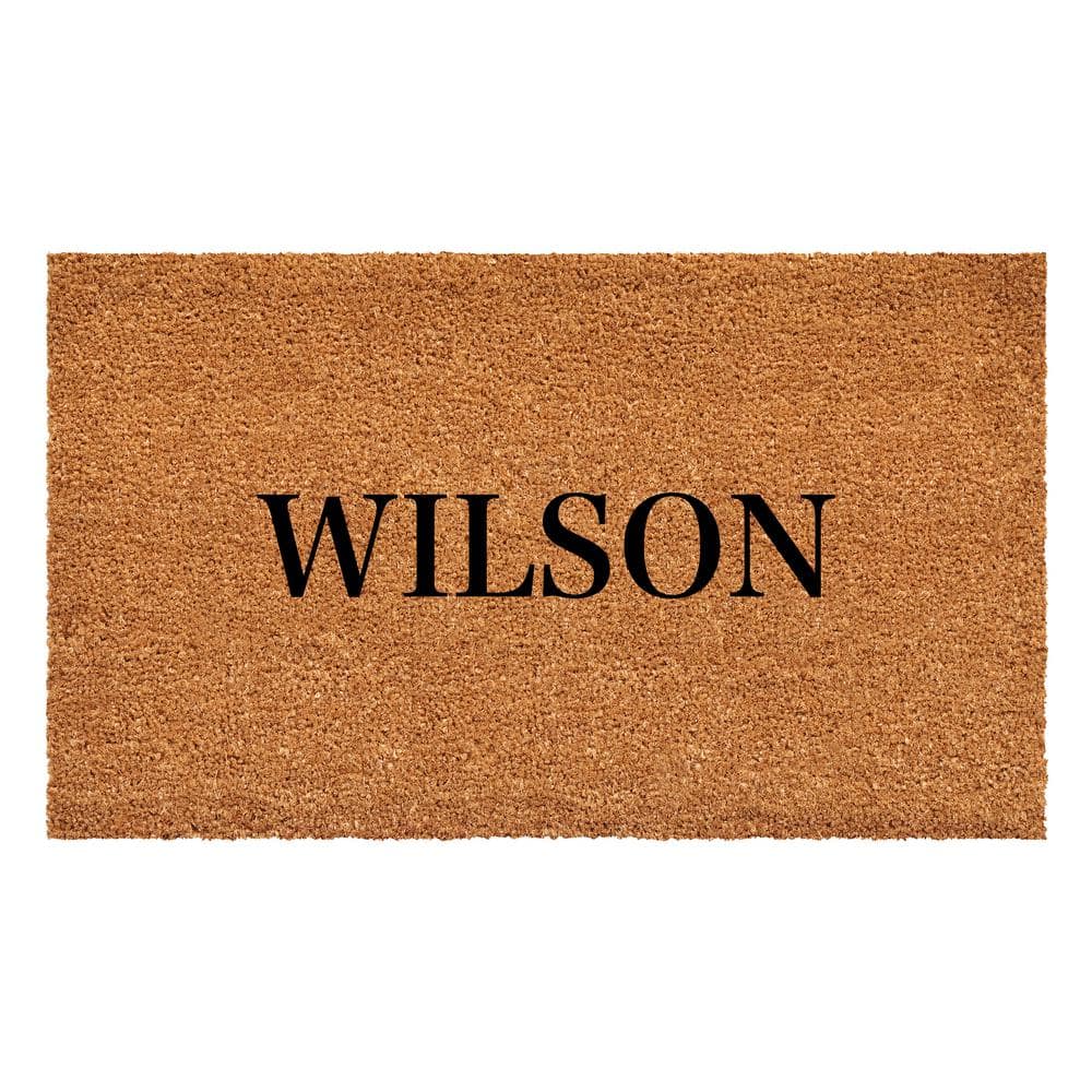 Bold Wilson Multi-Colored 17 in. x 29 in. Indoor or Outdoor Doormat price history on PriceWatchPro