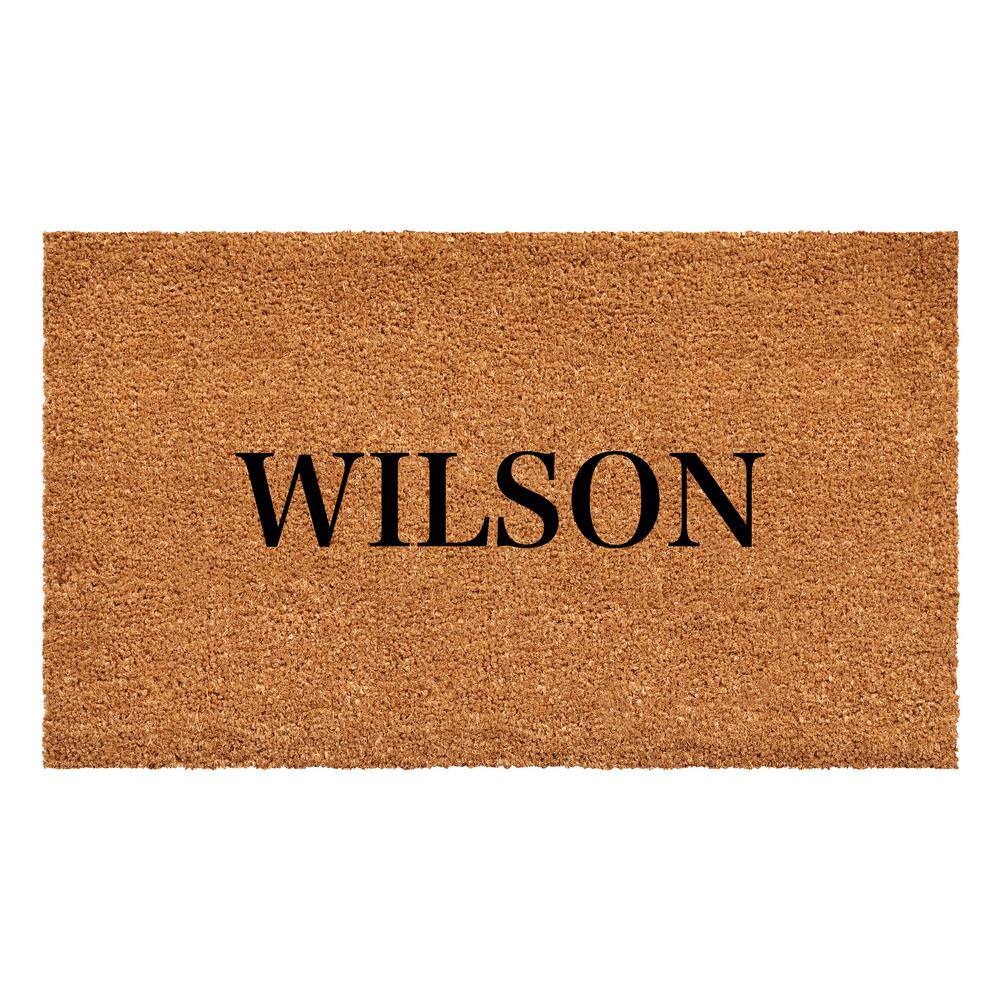 Bold Wilson Multi-Colored 24 in. x 36 in. Indoor or Outdoor Doormat price history on PriceWatchPro