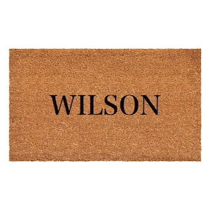 Bold Wilson Multi-Colored 24 in. x 36 in. Indoor or Outdoor Doormat