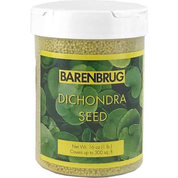 Barenbrug 1 lb. Dichondra Grass Seed