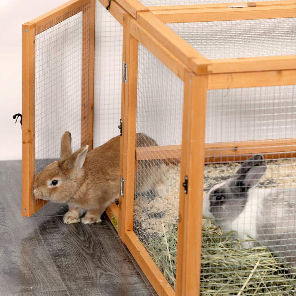 Orange Folding Fir Wood Chicken Coop with Roosting Bar