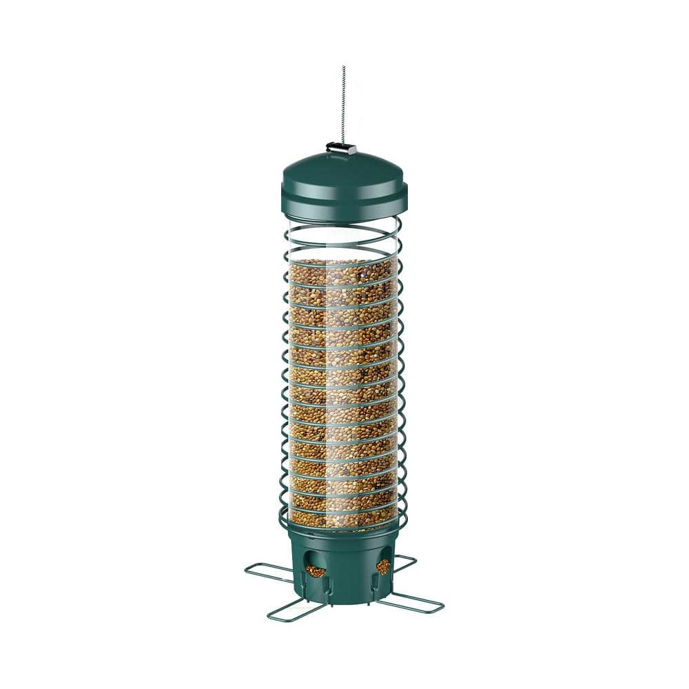 Upgraded Green Metal Squirrel Guard Wild Bird Seed Feeder-2.6 lbs. (1-Pack) price history on PriceWatchPro