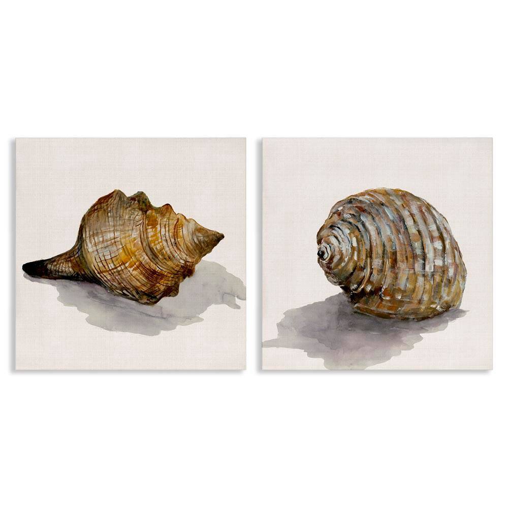 Neutral Beach Shells by Jacob Q 2-Pieces Unframed Coastal Graphic Art Print 24 in. x 24 in. price history on PriceWatchPro