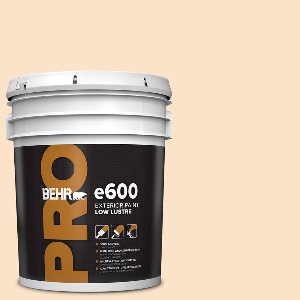 5 gal. #300C-2 Sand Dollar White Low Luster Exterior Paint price history on PriceWatchPro