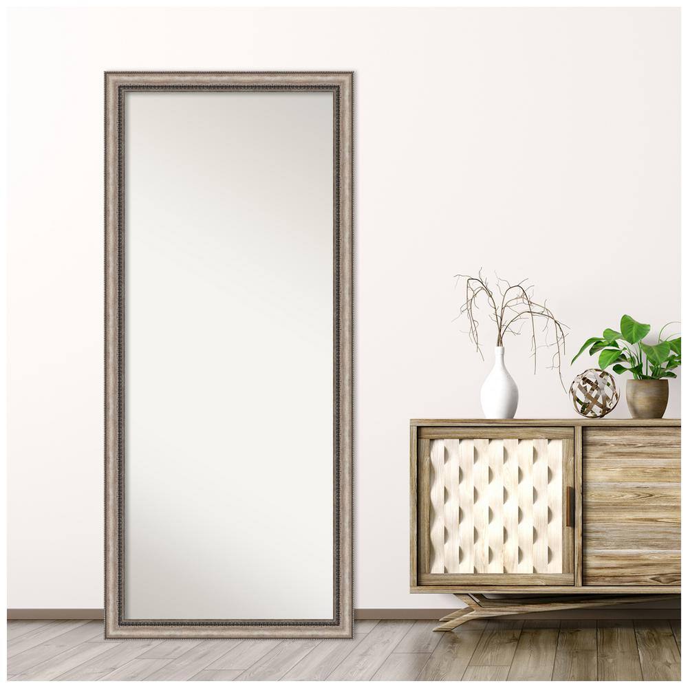 Elegant Full-Length Bronze and Silver Wood Framed Mirror
